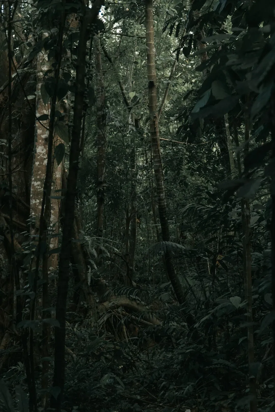 How You Can Help: From Myth to Meaningful Action (Image Credits: Unsplash)