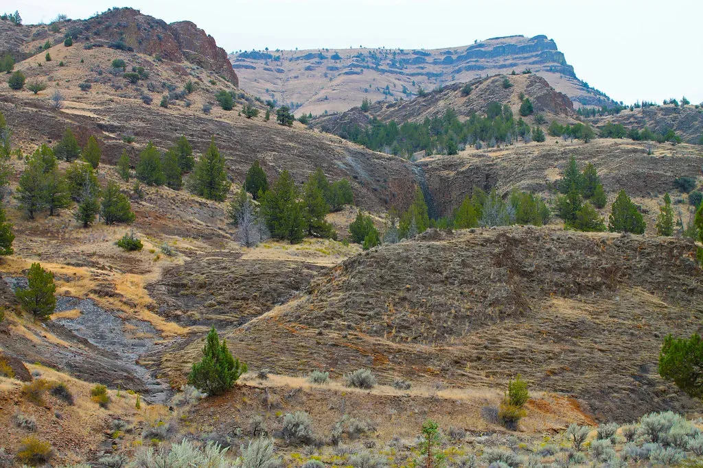 The Rock Cycle and Fossil Fuel Formation: Geology's Most Practical Gift (Image Credits: Flickr)