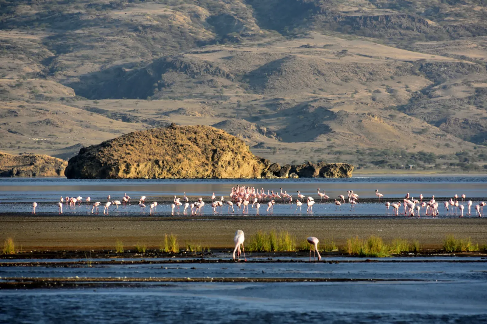 #9 - Lake Natron, Tanzania (Flamingos at Lake Natron (6), CC BY 2.0)