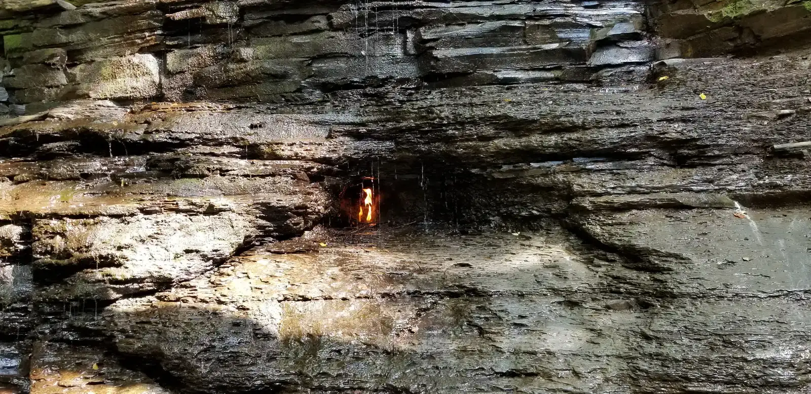 How to Respect the Flame and Protect the Ecosystem (Image Credits: Wikimedia)