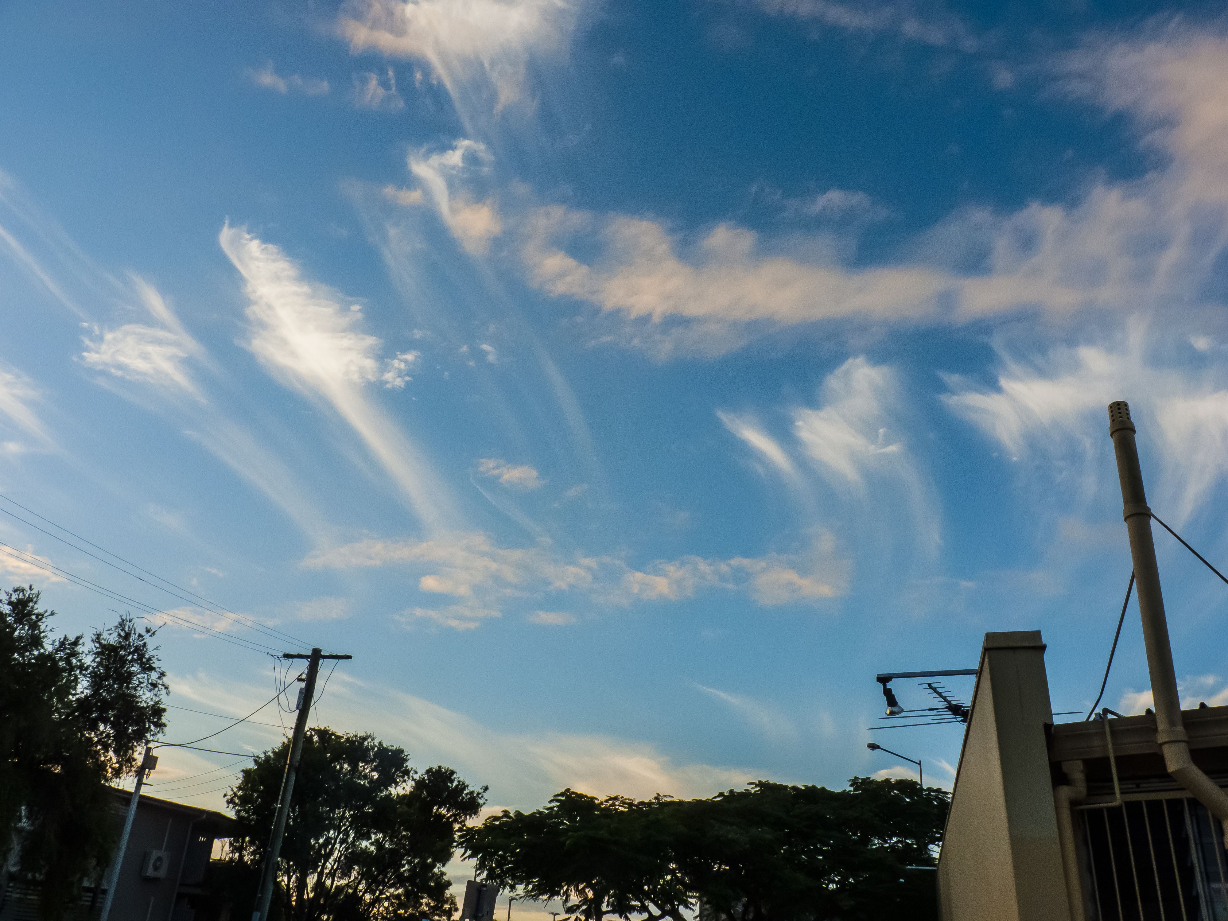 Virga: The Ghost Rain That Never Touches Earth (Image Credits: Wikimedia)