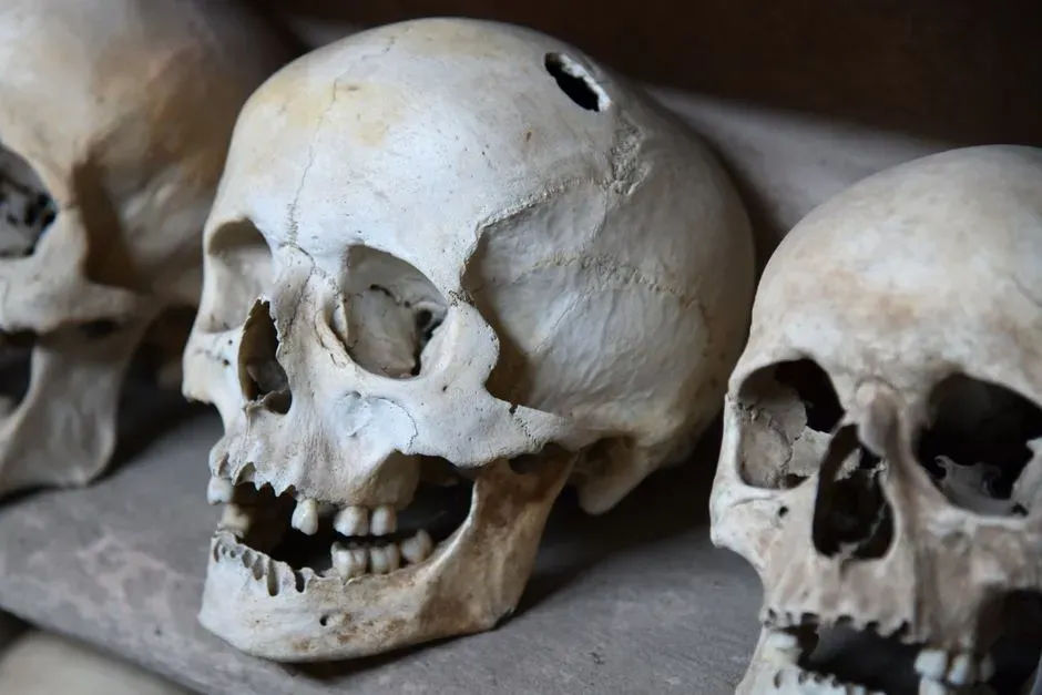 The Hippocratic Corpus: Skull Drills and Bone‑Lifting Devices (Image Credits: Pexels)