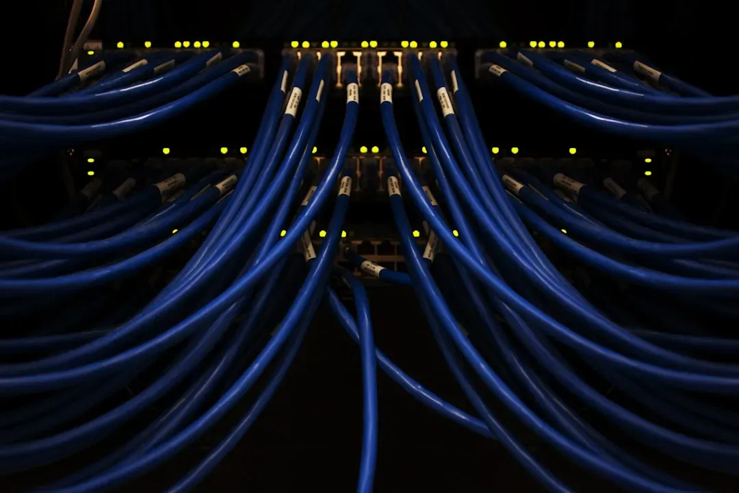 The Digital Web: Invisible Wires, Real Consequences (Image Credits: Unsplash)