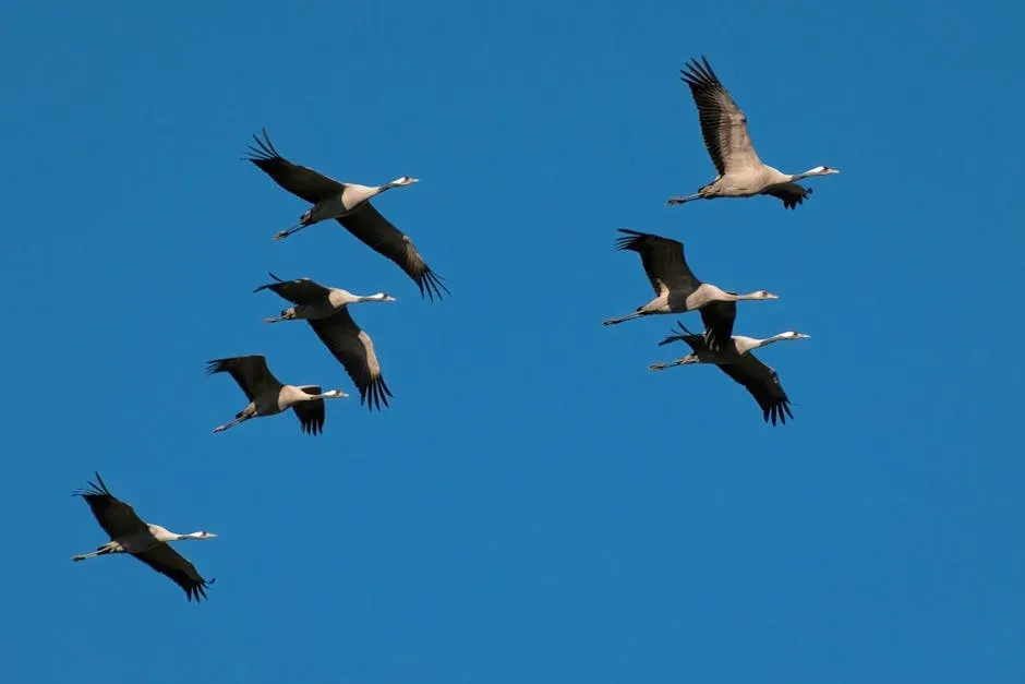 What Animal Navigation Teaches Us About Intelligence (Image Credits: Pexels)