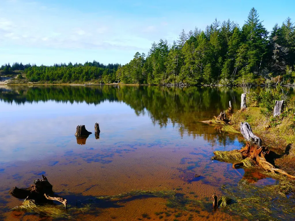 Sediment Archives Recording Millions of Years (Image Credits: Flickr)