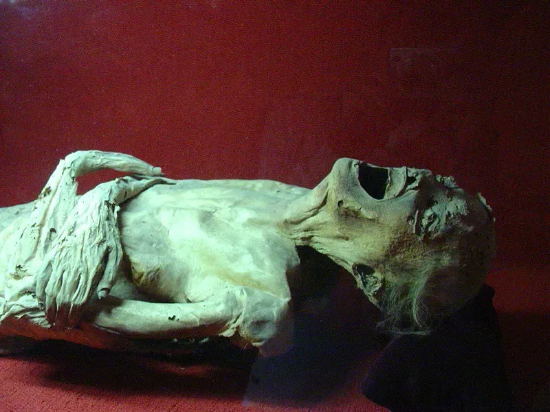 #4 - The Screaming Mummy That Confessed to a 3,000-Year-Old Assassination Plot (eheçåtzin ::  ::., Flickr, CC BY 2.0)