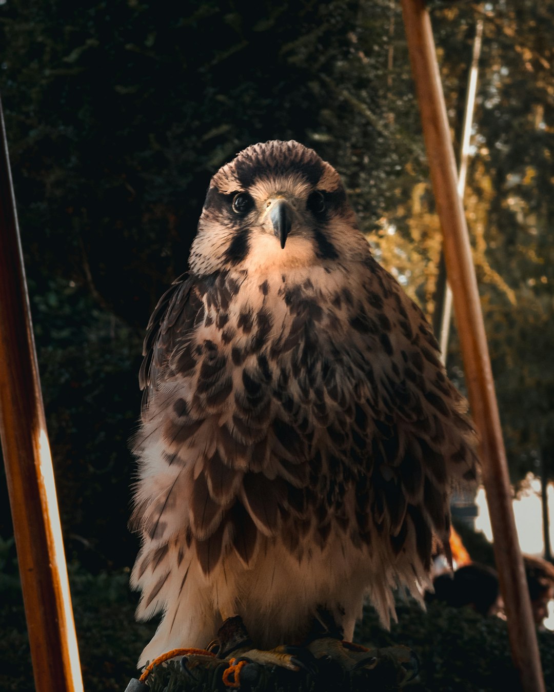 Global Perspectives (Image Credits: Unsplash)
