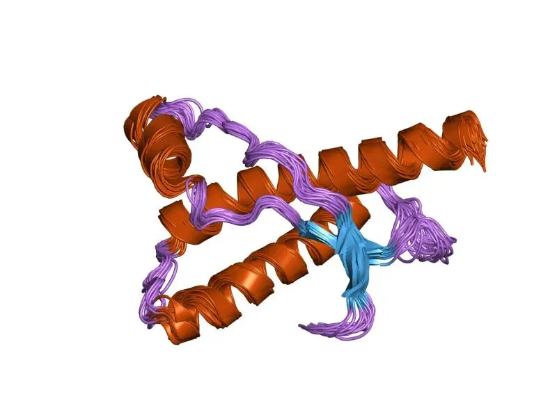 #5 Prions: Infectious Proteins That Broke the Rules of Biology (By Jawahar Swaminathan and MSD staff at the European Bioinformatics Institute, Public domain)