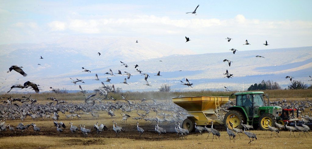 Fueling Up for the Journey Ahead (Image Credits: Flickr)