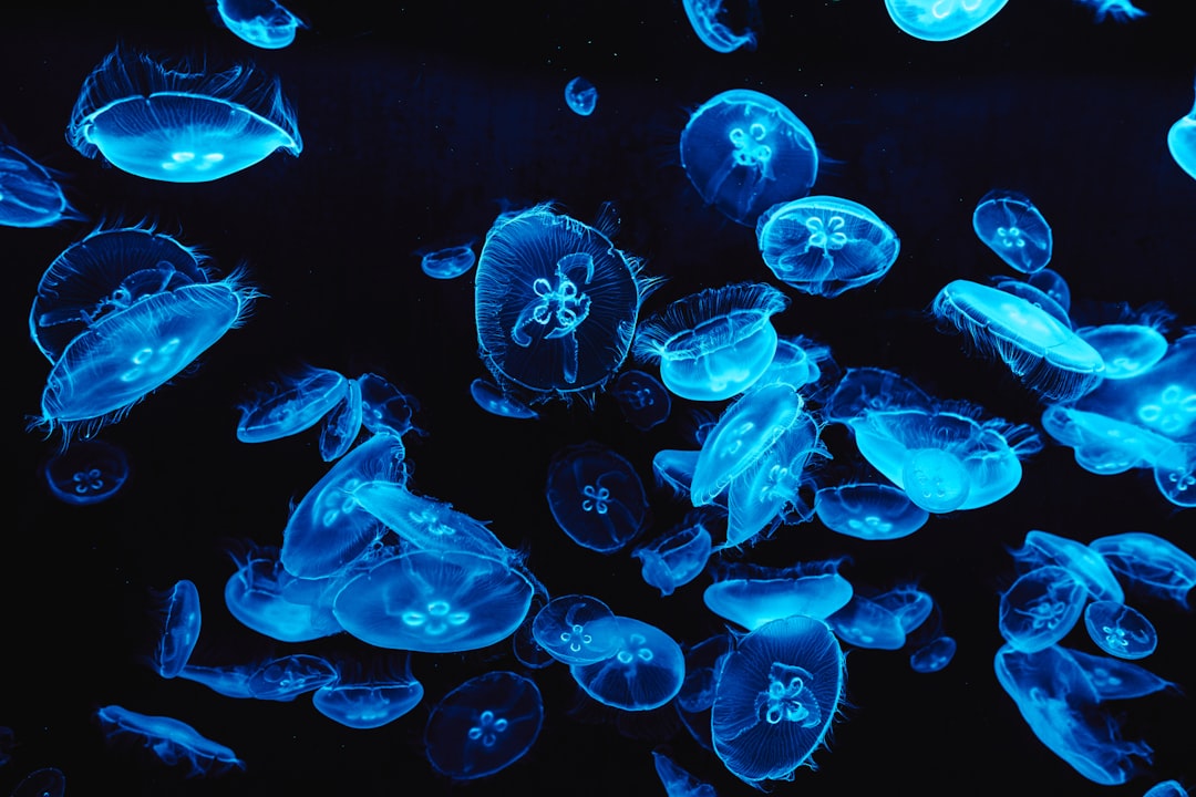 Aquarius (January 20 - February 18): The Ethereal Jellyfish (Image Credits: Unsplash)