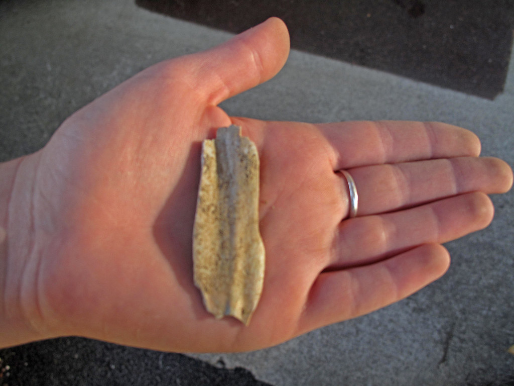 Quality Control: Precision in Every Detail (Image Credits: Flickr)