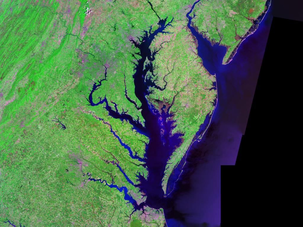 North Beach, Maryland - Brackish Signals on the Chesapeake (Image Credits: Wikimedia)