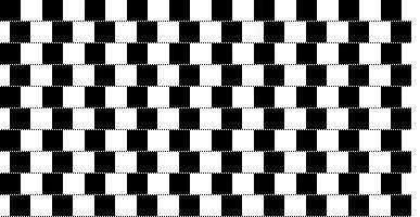 The Café Wall Illusion: Parallel Lines That Aren't (Image Credits: Flickr)