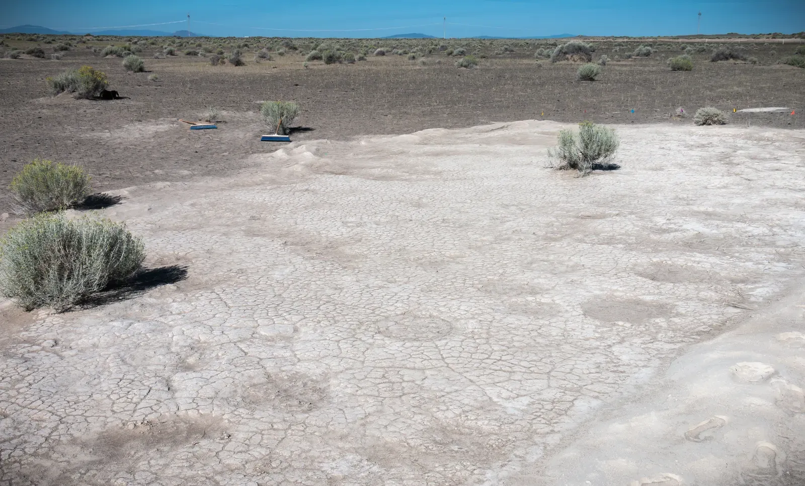The Ghosts Under Your Feet: How You Still Live In A Megafauna World (Studying a Mammoth Trackway at Fossil Lake, Public domain)