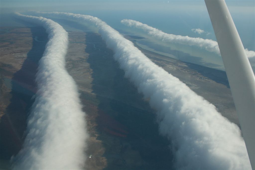 Morning Glory: The Rolling Cloud That Stretches for Miles (Image Credits: Wikimedia)