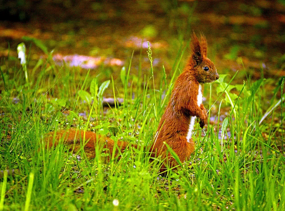 What This Mysterious “Sixth Sense” Really Teaches Us (Image Credits: Flickr)