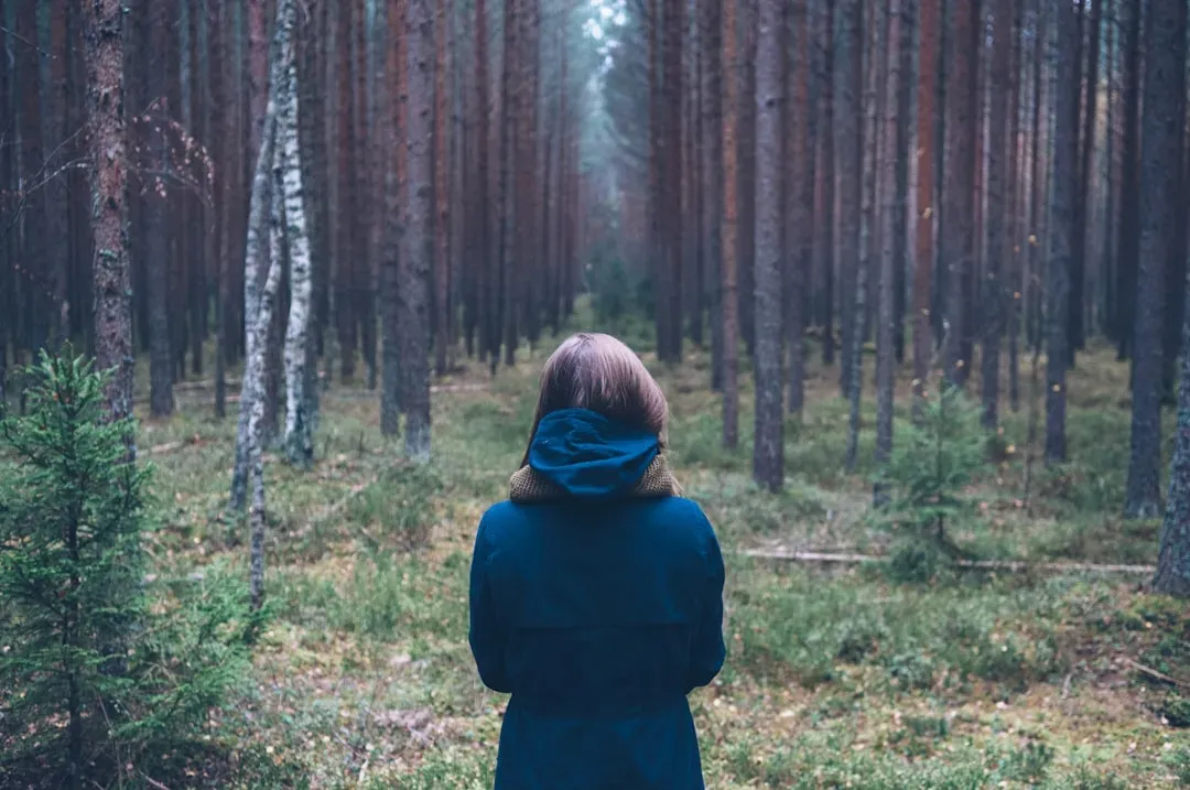 Conclusion: Your Spooky Forest Feelings Are Smarter Than You Think (Image Credits: Unsplash)