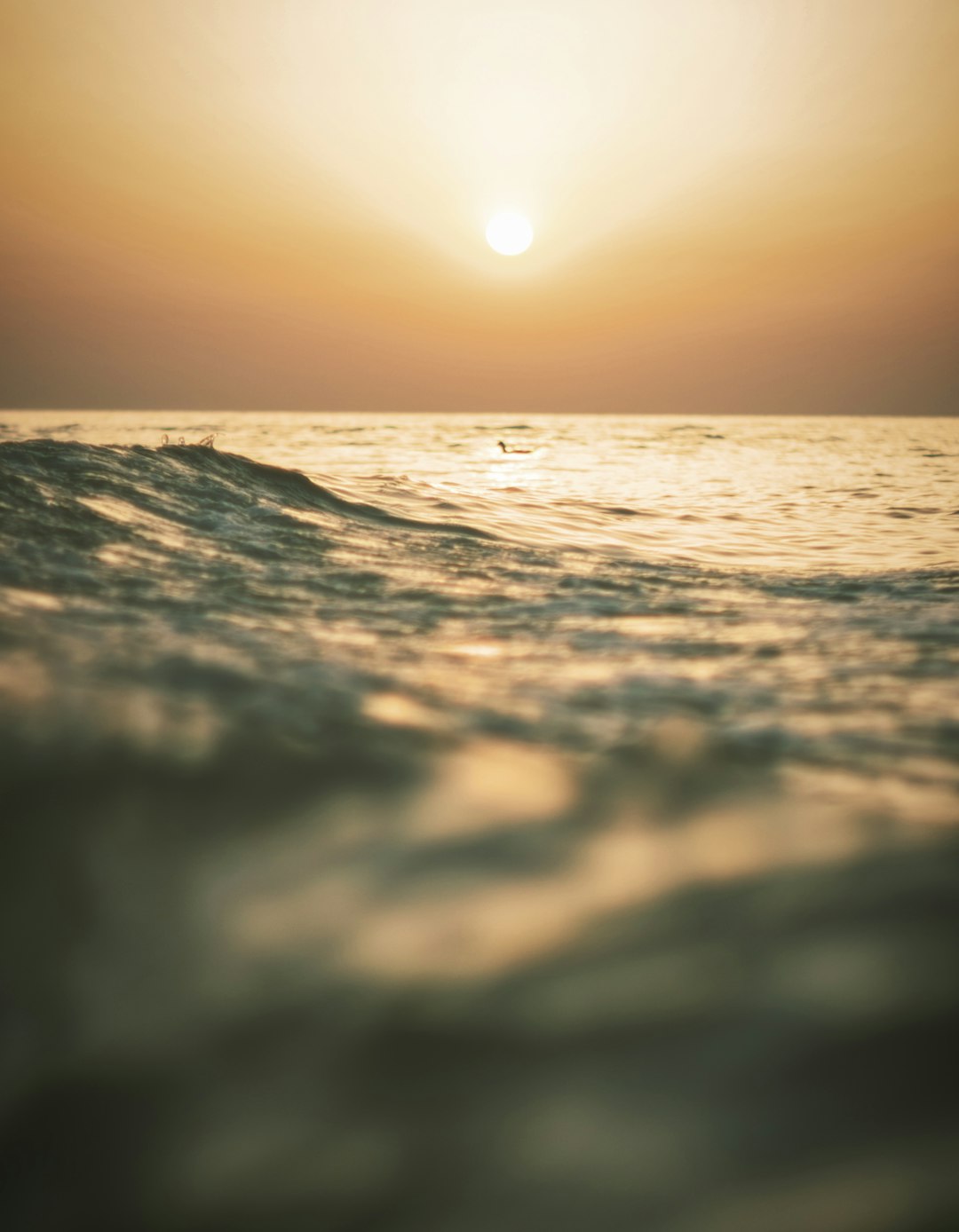 What You Can Do Now (Image Credits: Unsplash)