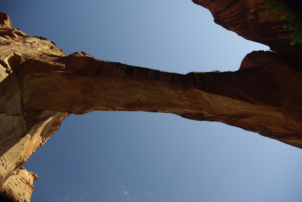 Escalante Natural Bridge: A Giant Stone Gateway (Image Credits: Wikimedia)