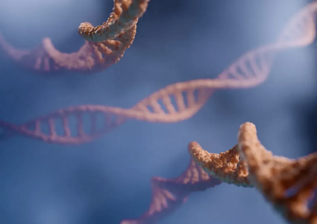 The RNA World: When Genetics and Chemistry Were the Same Thing (Image Credits: Unsplash)