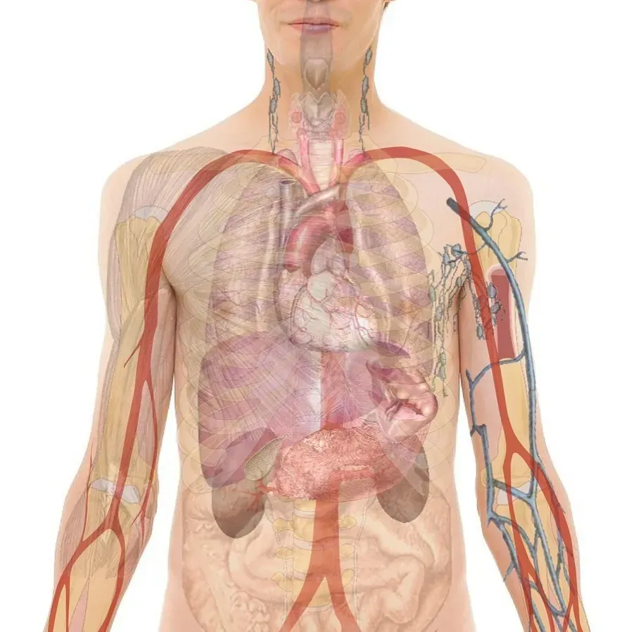 Implications for How You See Yourself and Your Body (Image Credits: Pixabay)