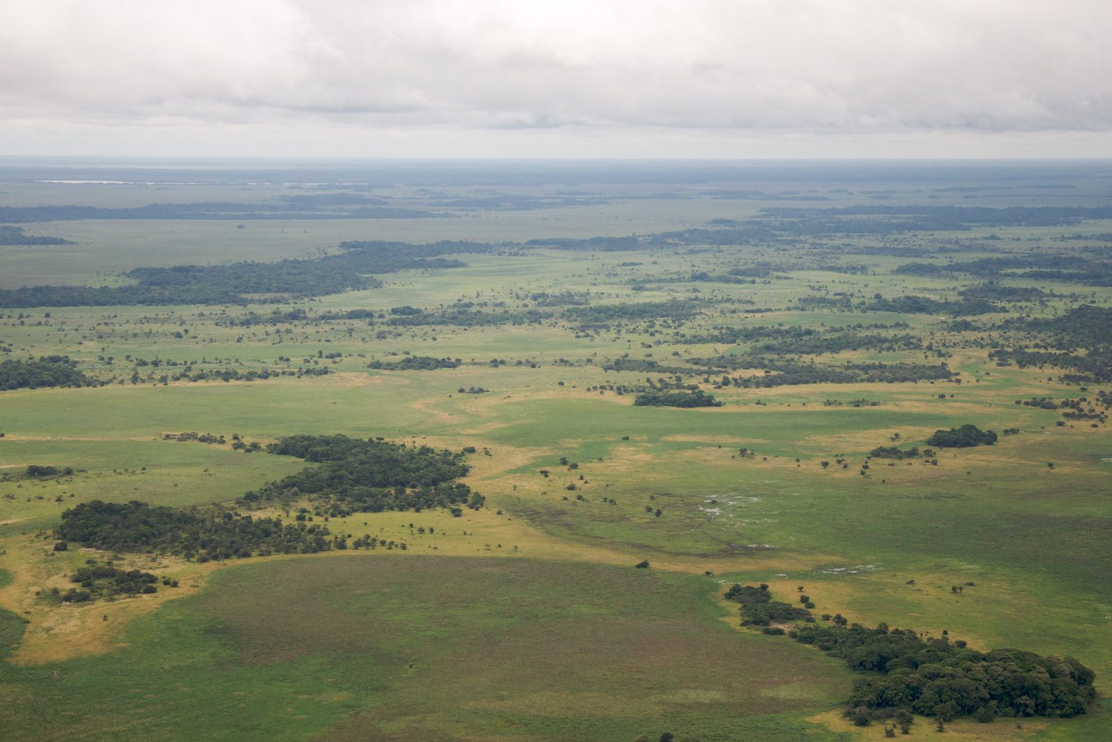 Llanos de Mojos - Bolivia's Monumental Complex (Image Credits: Wikimedia)