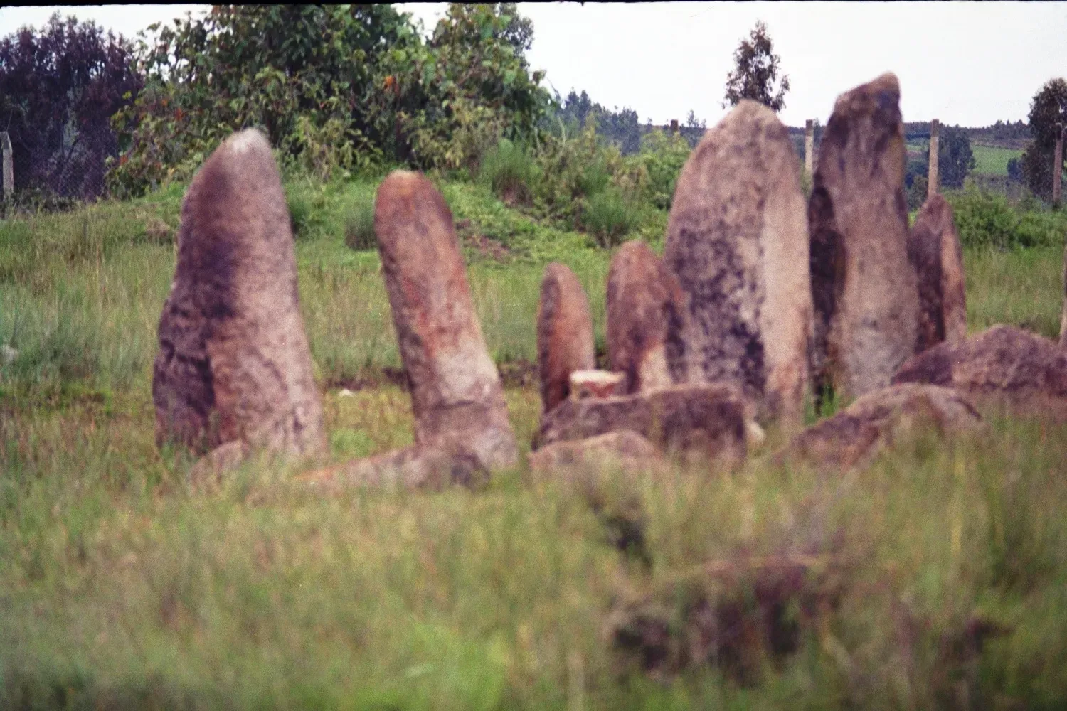 Tiya and the Megalithic Steles of Ethiopia: Silent Stones on an Ancient Crossroads (Image Credits: Wikimedia)