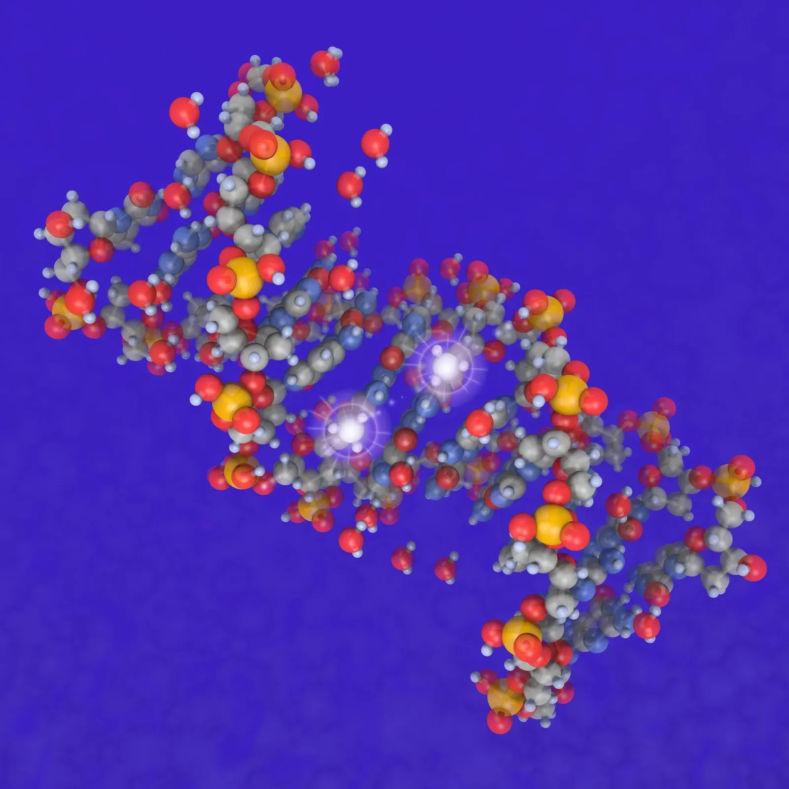 The Epigenetic Clock: Reading Your Biological Age (Image Credits: Wikimedia)