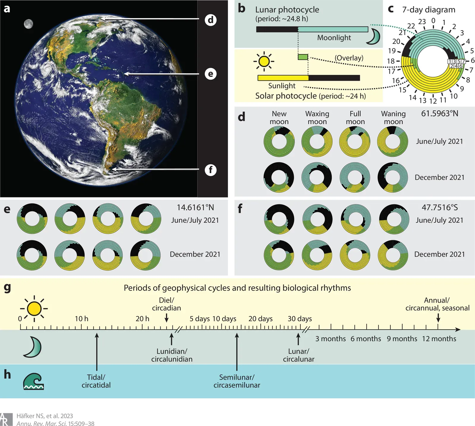 Ocean Drums and Atmospheric Chimes: The Rhythms Shaping Our Daily World (Image Credits: Wikimedia)
