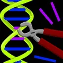 Why It Matters: Power, Risk, and Responsibility (Image Credits: Wikimedia)