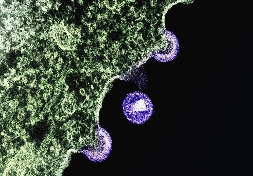 Redefining “Us”: Living with, Not Against, Microbes (Image Credits: Unsplash)