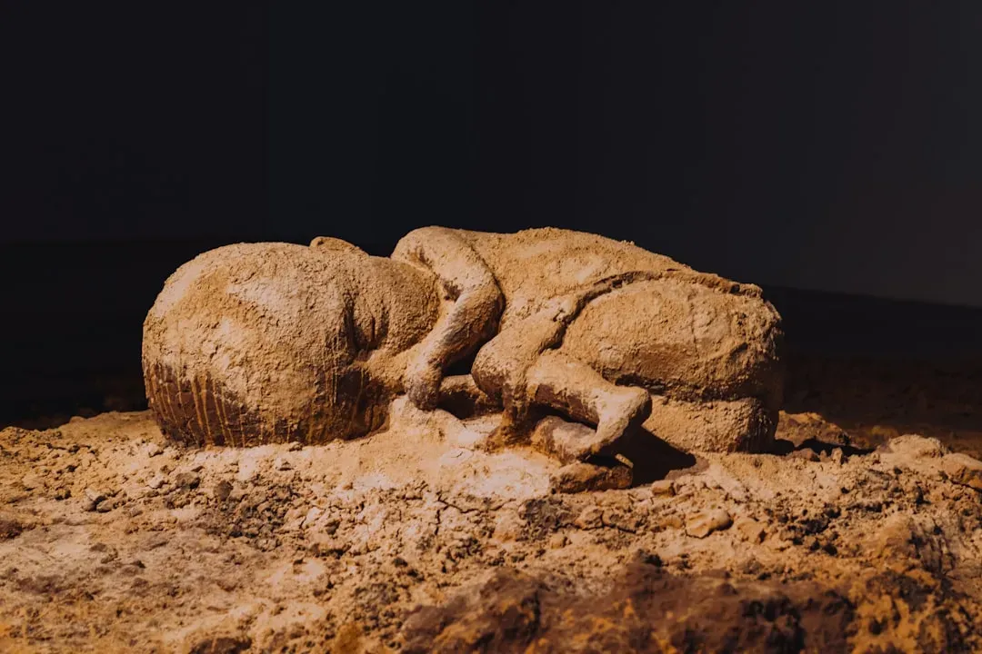 11. A Child Burial That Transformed Views on Prehistoric Care (Image Credits: Unsplash)