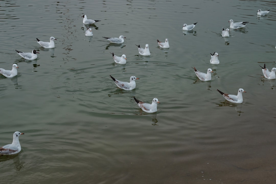 Wildlife and Ecosystem Adaptation (Image Credits: Unsplash)