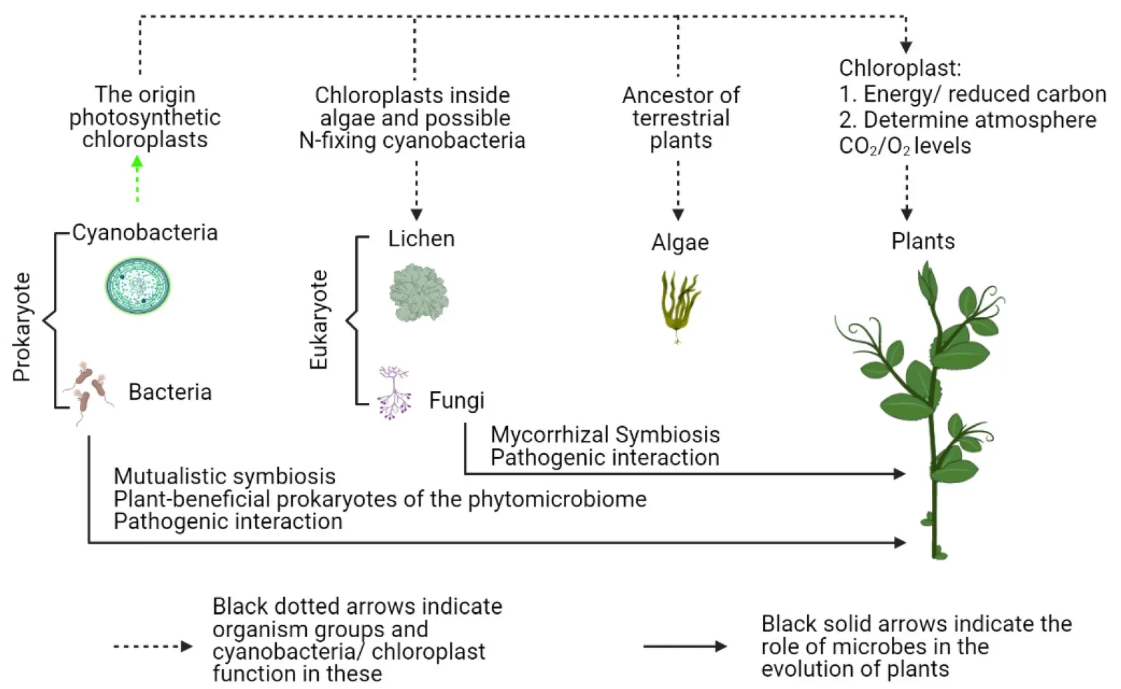 Microbial Control of the Carbon and Climate Systems ([1] doi:10.3390/microorganisms9051036, CC BY-SA 4.0)