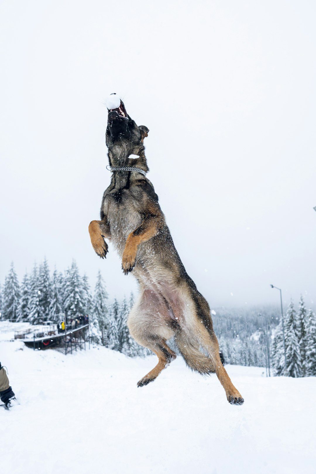 What the Data Really Shows: Patterns of Failure and Success (Image Credits: Unsplash)