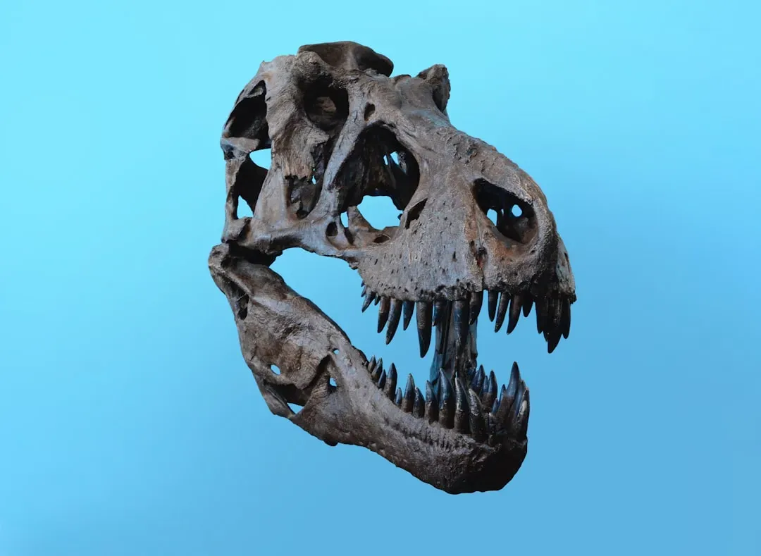 #22 - The “Authentic” Dinosaur Skull That Failed the First Lab Scan (Image Credits: Unsplash)