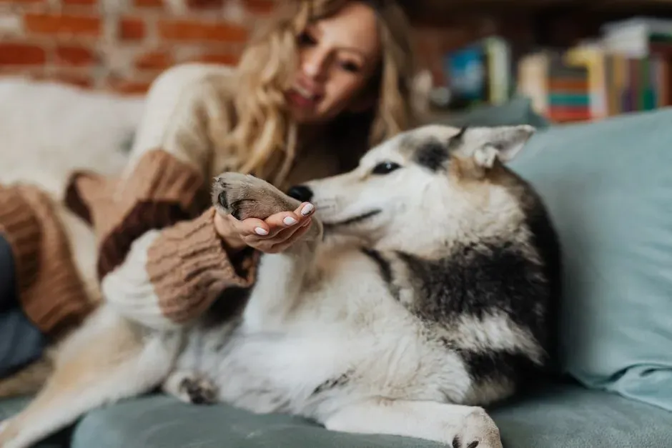 Body Odor and Stress Chemicals: Smelling Sadness Versus Relief (Image Credits: Pexels)
