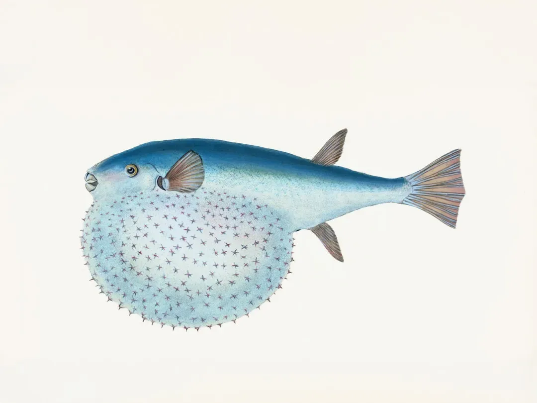 Ocean Engineers: Pufferfish That Sculpt Perfect Sand Mandalas (Image Credits: Unsplash)