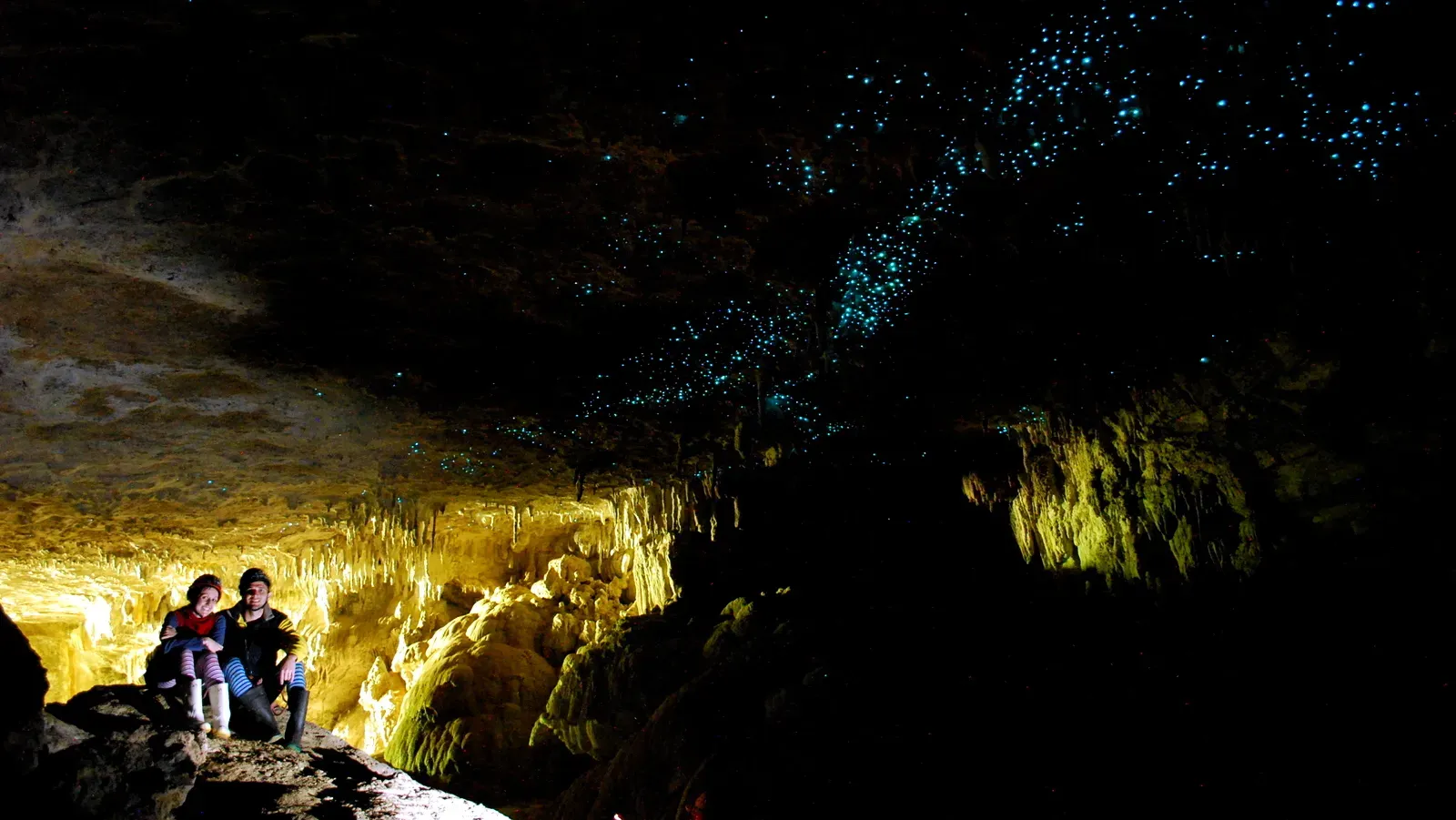 Waitomo Glowworm Caves, New Zealand (Image Credits: Wikimedia)
