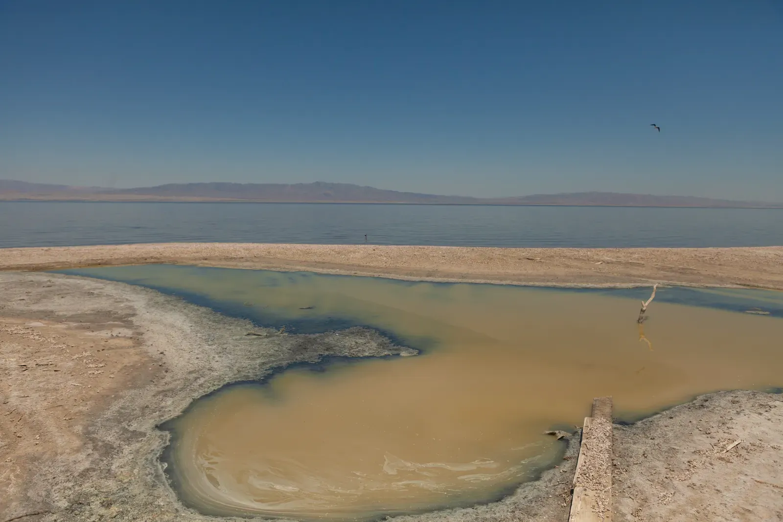 The Vanishing Shoreline Is Creating a Toxic Dust Bowl (By EmpireFootage, CC BY-SA 4.0)