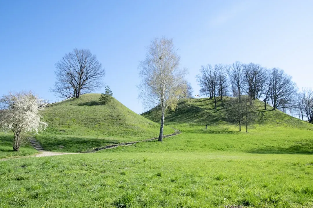 Who Were the “Mound Builders” Really? (Image Credits: Unsplash)