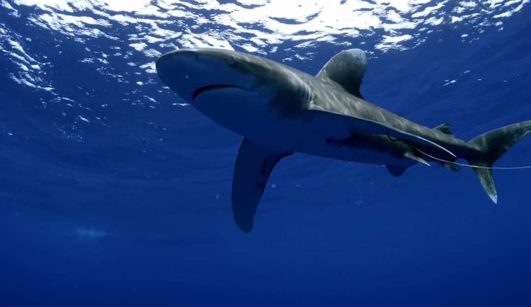 Why It Matters (Image Credits: Unsplash)