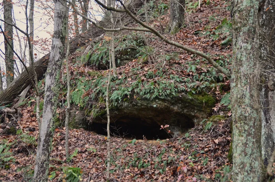 4. A Caribbean Rock Shelter That Moved the First Settlers Back in Time (Image Credits: Unsplash)