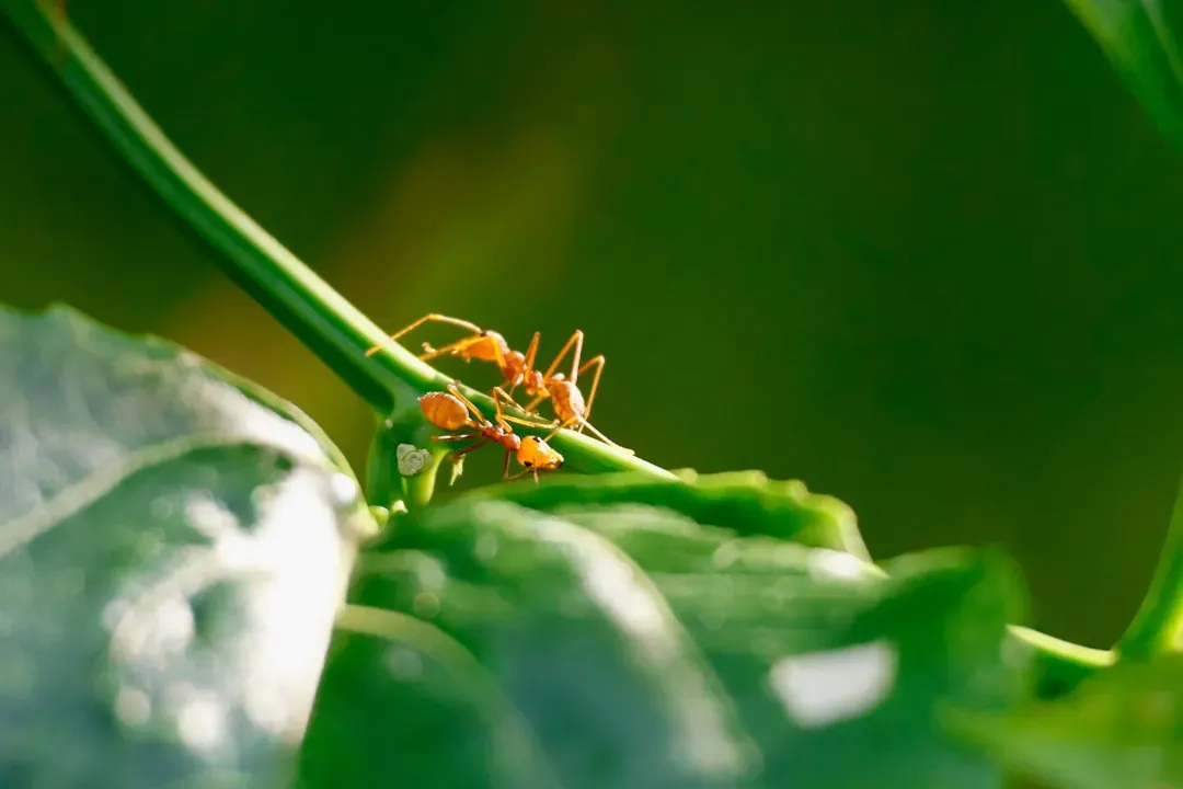 Chemical Conversations: Smells as Stories, Not Just Scents (Image Credits: Unsplash)