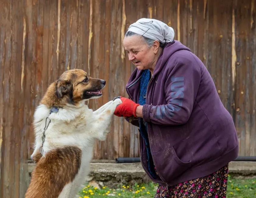Why Human Emotion Habituates But Your Dog’s Greeting Often Doesn’t (Image Credits: Pexels)