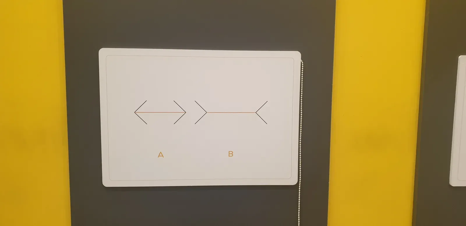 The Müller-Lyer Illusion: When Context Warps Reality (Image Credits: Wikimedia)