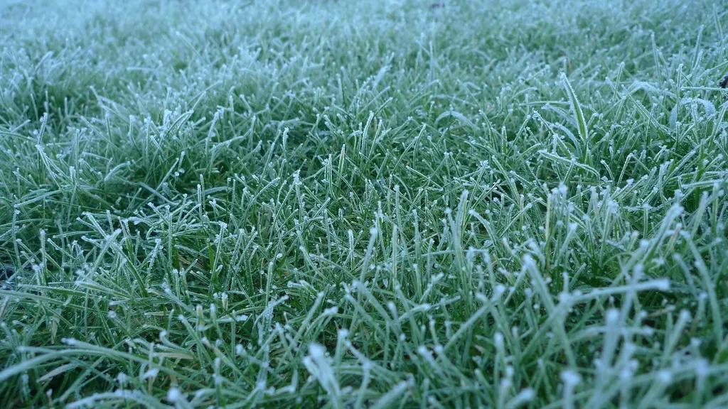 4. Frost Becomes More Common Than Morning Dew (foilman, Flickr, CC BY-SA 2.0)