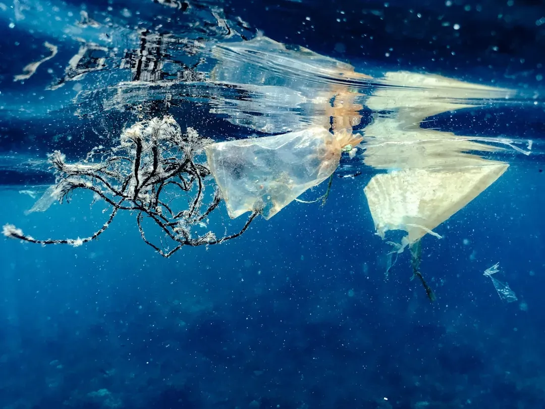 Threats from Above: How Human Activity Reaches the Deep (Image Credits: Unsplash)