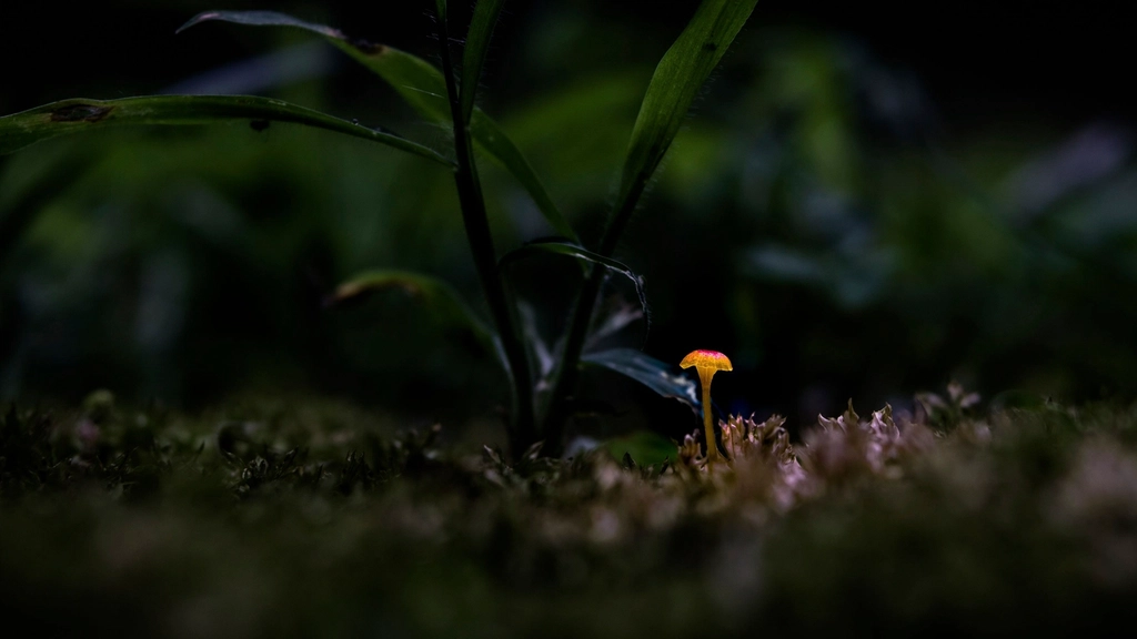 Global Perspectives (Image Credits: Rawpixel)