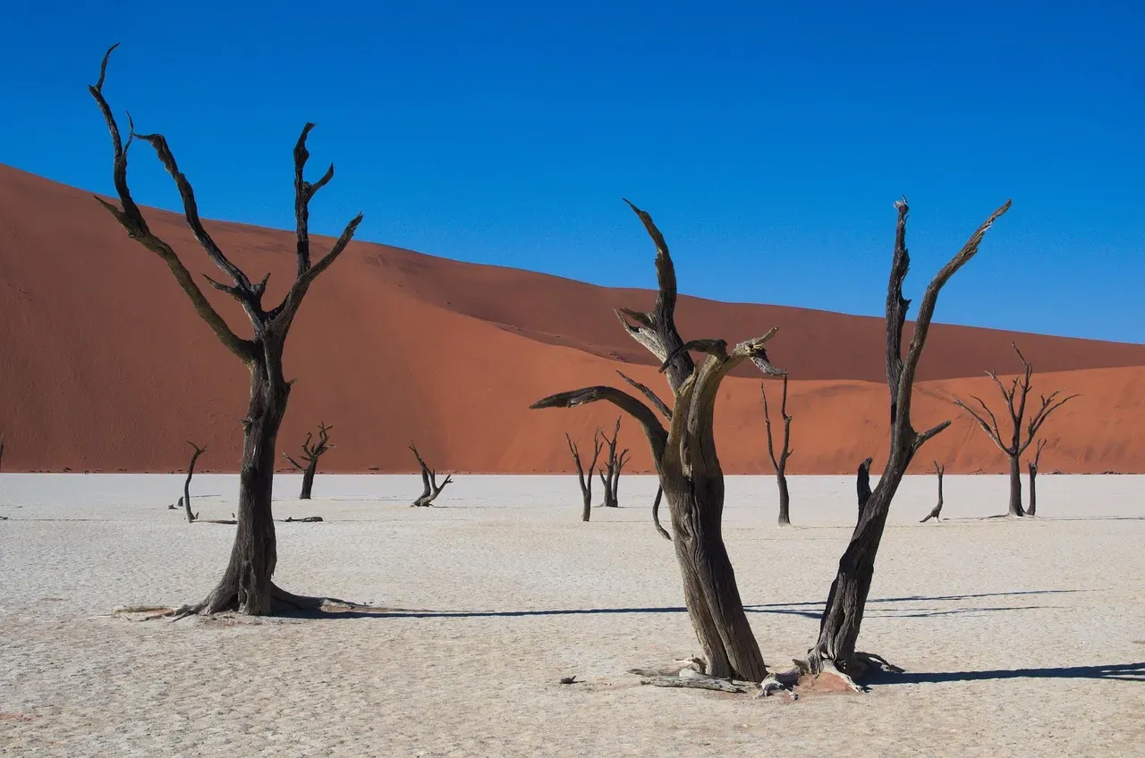 Deadvlei, Namibia (Image Credits: Pixabay)